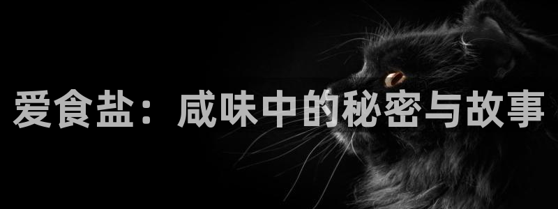 威九国际演员名单