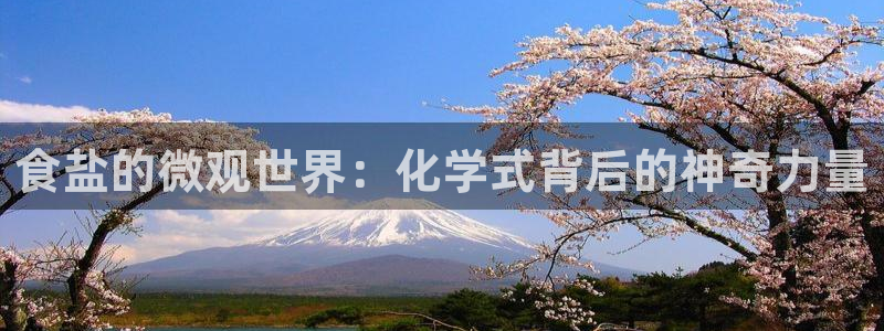 威九国际78mb游戏