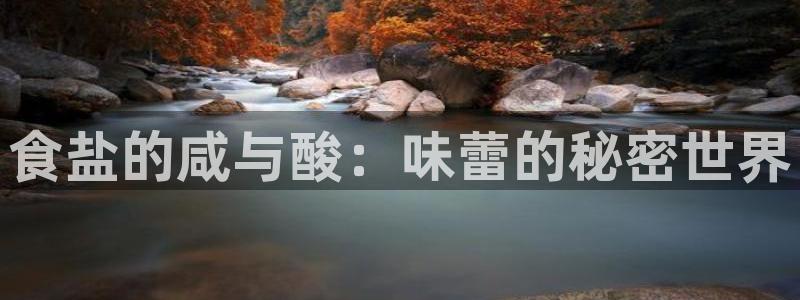 威九国际app入口在哪