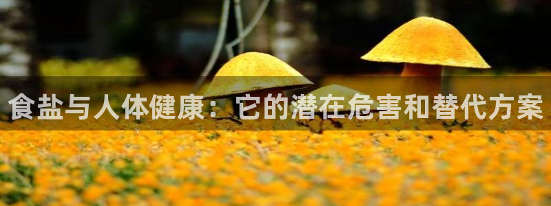 威九国际取款不到账