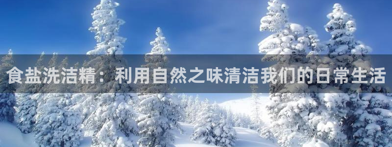 威九国际女明星